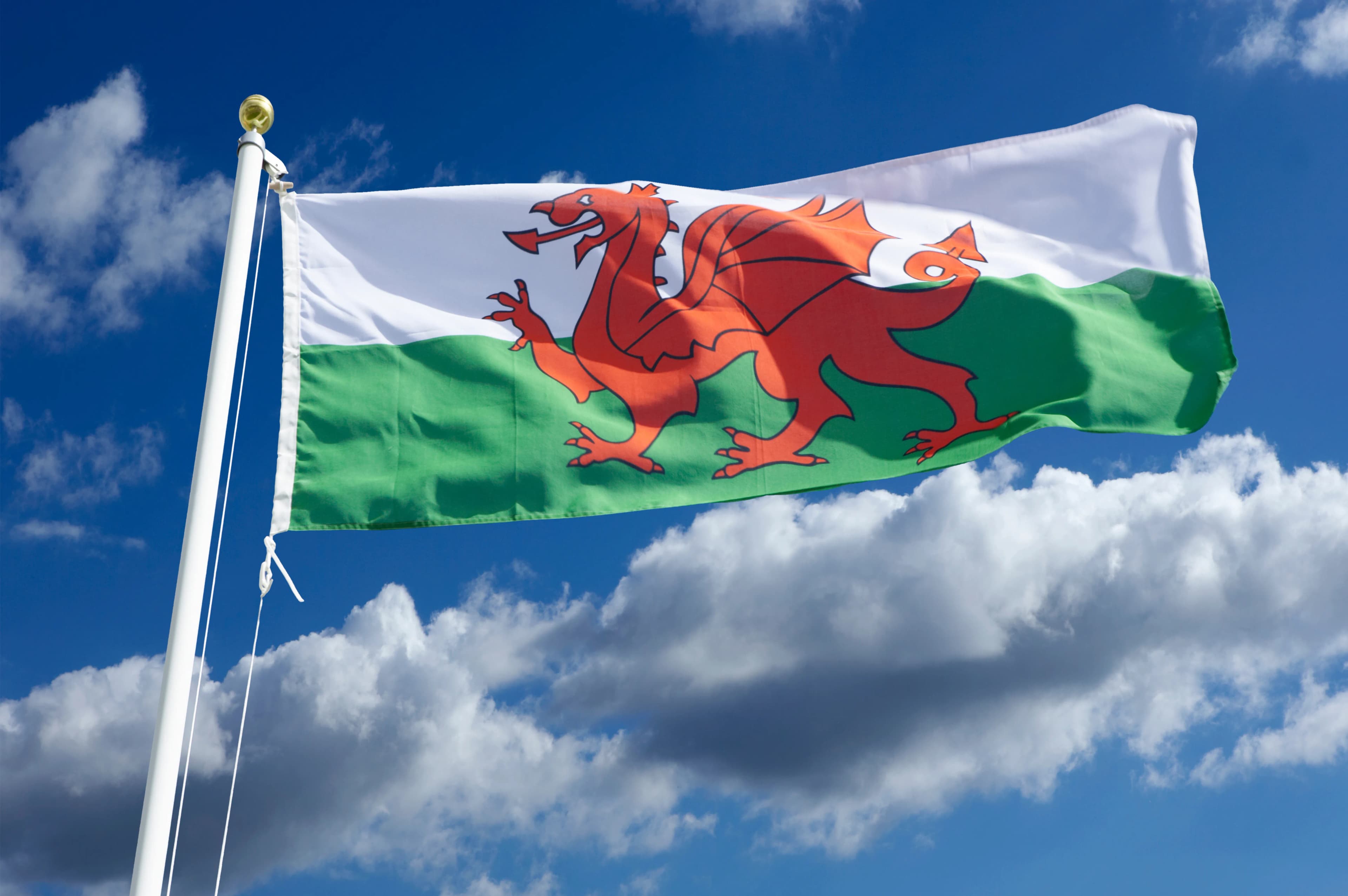 Google Business Profile Mastery for Welsh Businesses