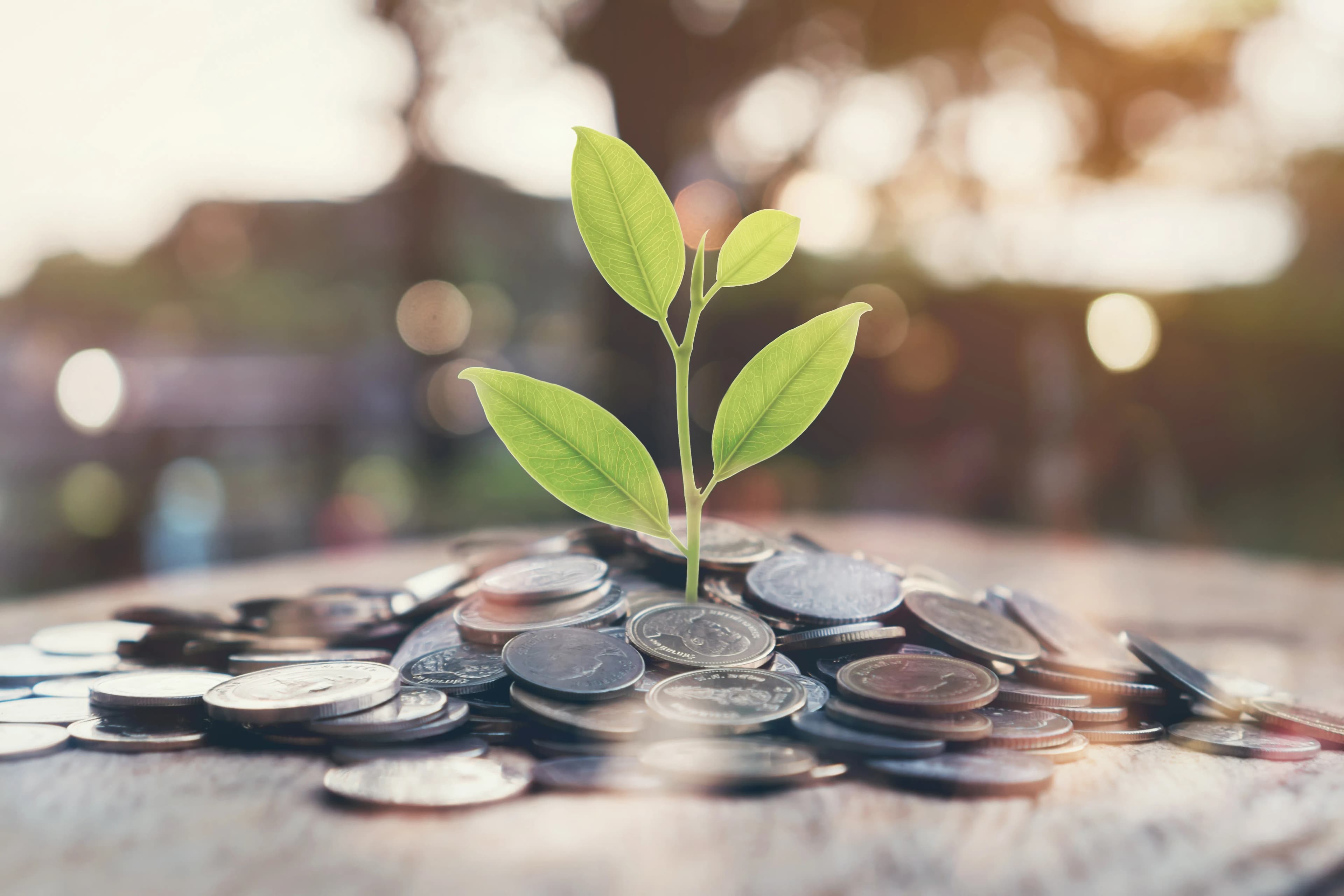 How Much Does a Website Cost in the UK? 2025 Guide