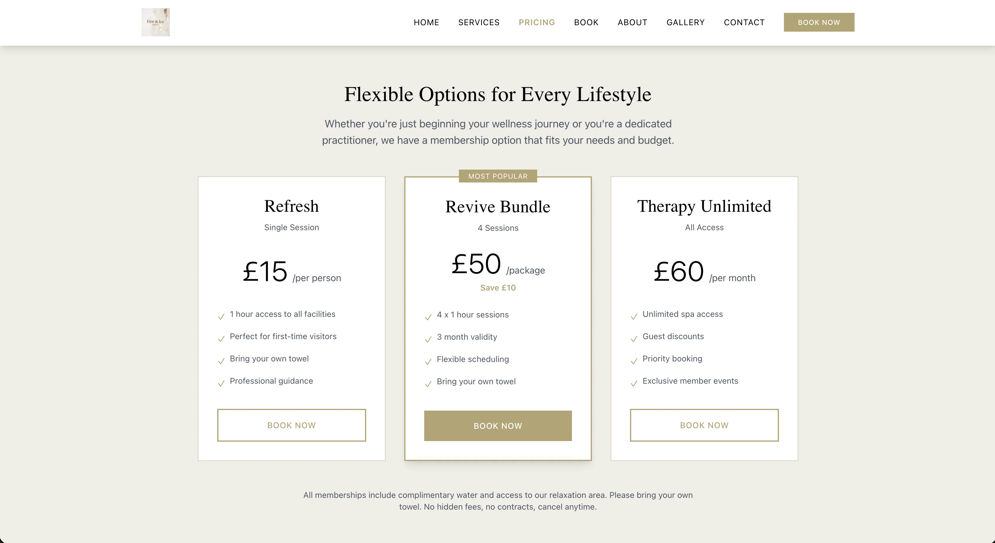 Fire & Ice Spa website screen 2