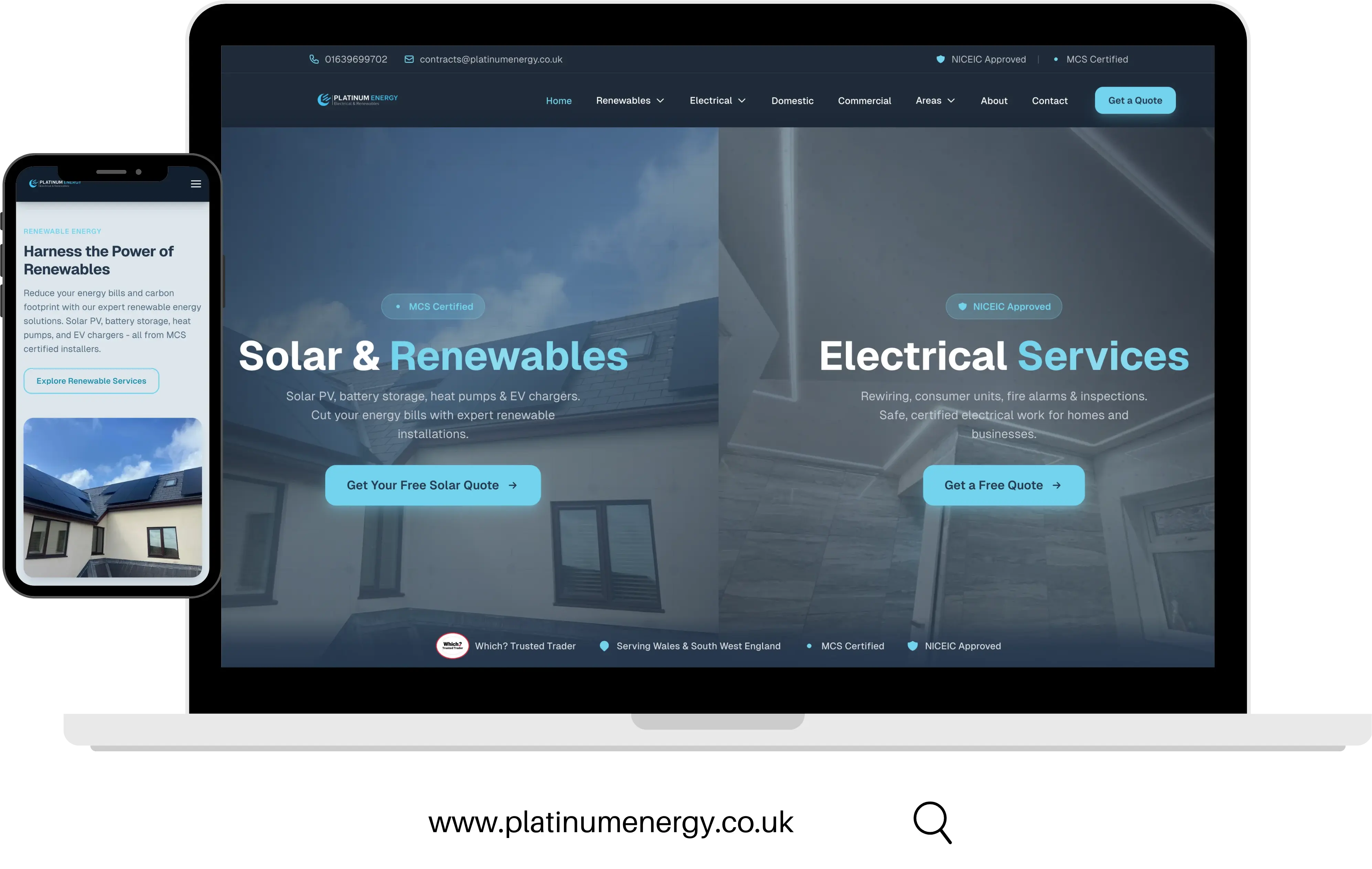 Platinum Energy website