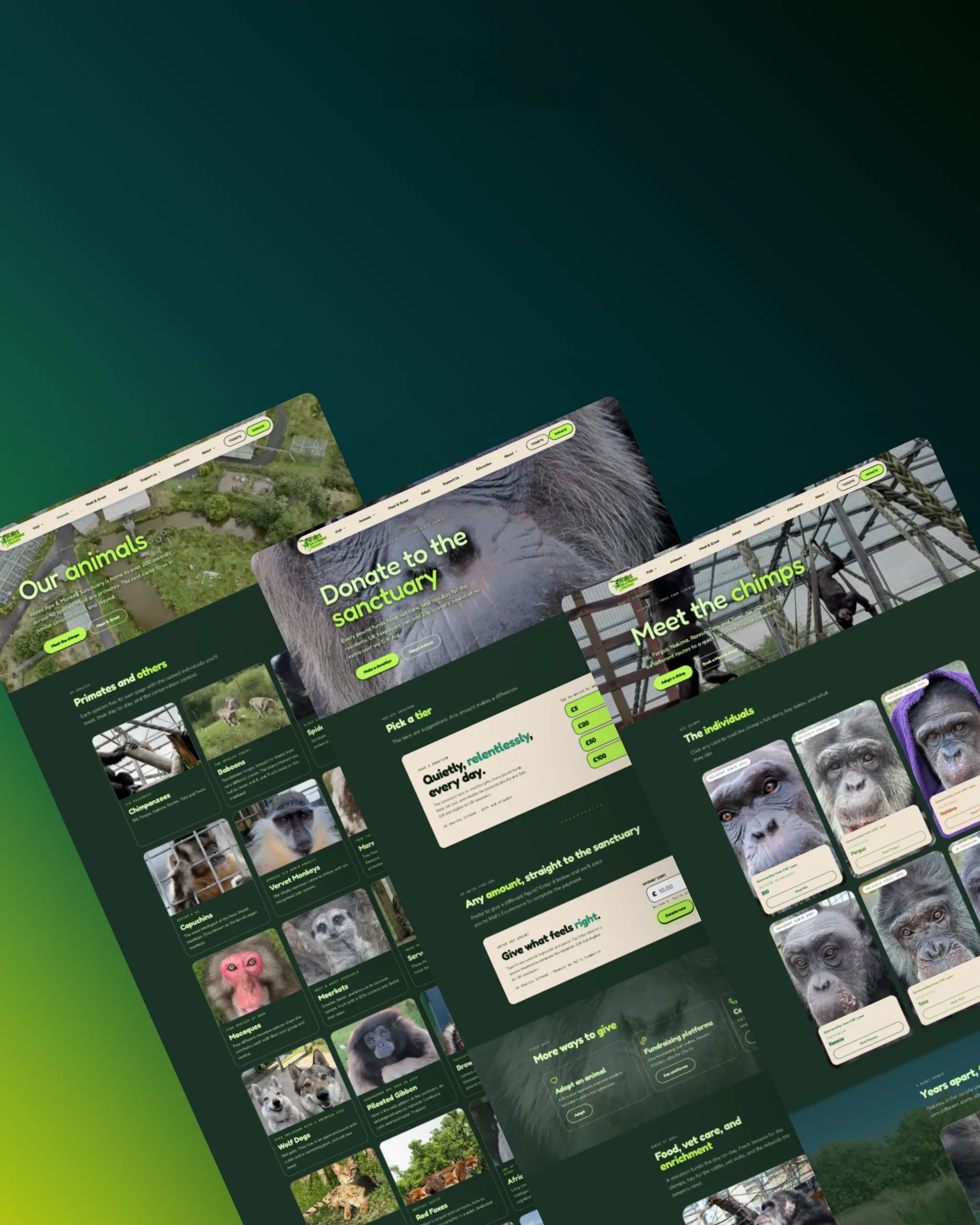 Wales Ape & Monkey Sanctuary website screen 1