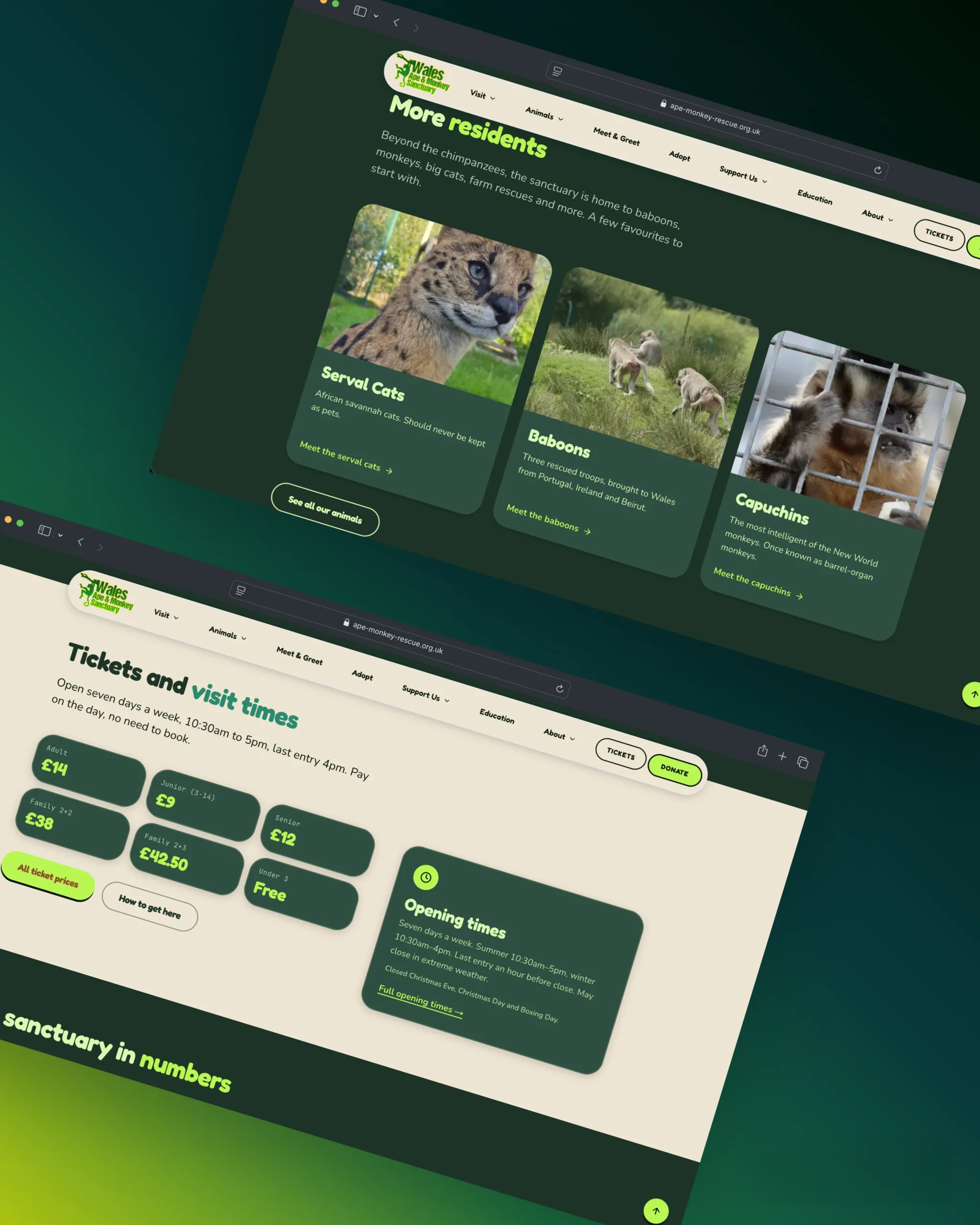 Wales Ape & Monkey Sanctuary website screen 2